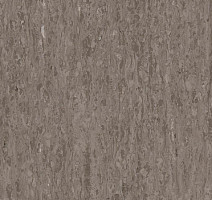 Линолеум Tarkett iq Optima Light brown 0249 фото 1 | FLOORDEALER